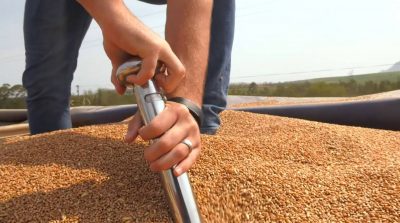 Screen Shot 2020-08-25 at 12.11.38 saad