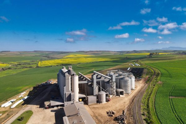 grain-storage-service-2